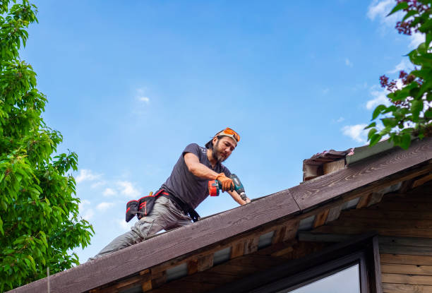 Best Roof Maintenance and Cleaning  in Ocean Shores, WA